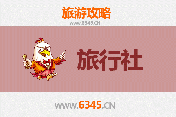 阜阳颍泉本地旅行社推荐：专业服务，畅游皖北风情
